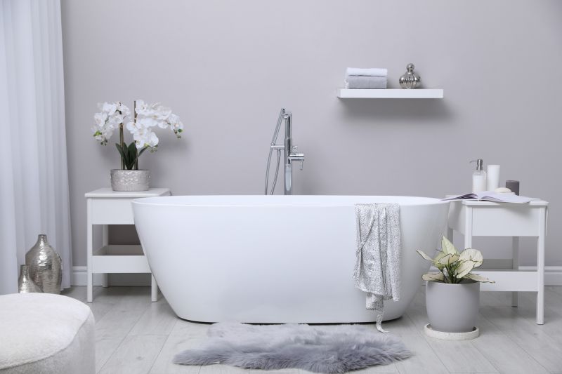 Freestanding Bathtub with Modern Fixtures